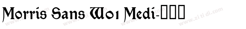 Morris Sans W01 Medi字体转换